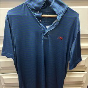 Perlis Striped Polo Shirt in Blue and Green